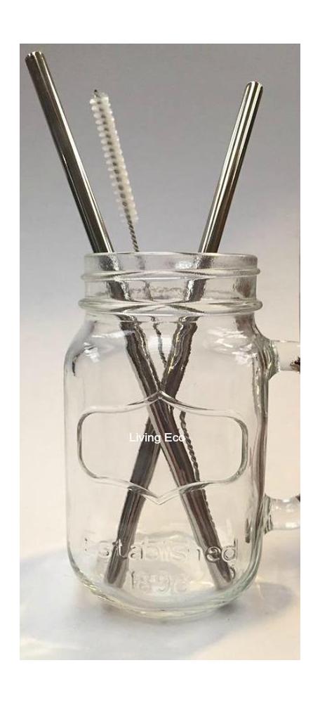 Green Essential Stainless Steel Straws & Cleaners