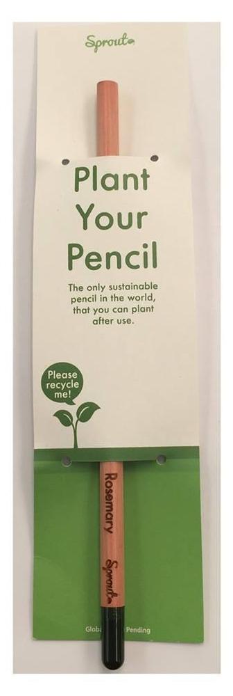 Sprout Pencils